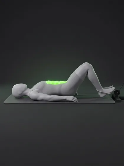 Cable Reverse Crunch