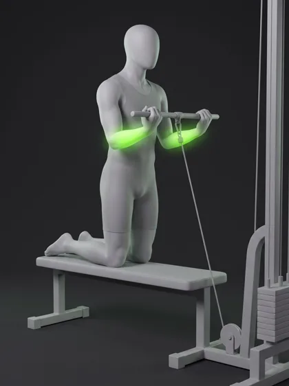 Cable Reverse Wrist Curl