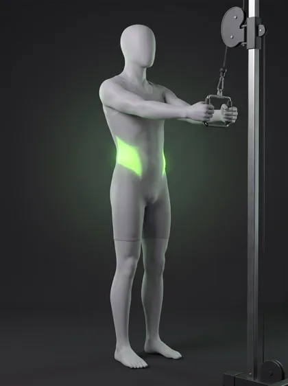 Cable Rotational Pull