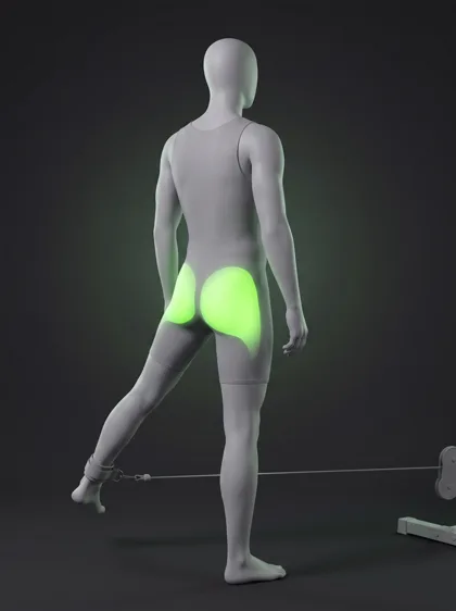 Cable Hip Abduction