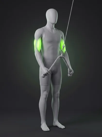 Rope Cable Triceps Pushdown