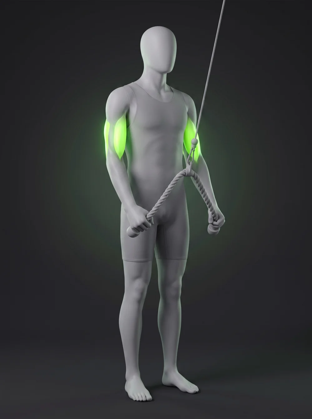 Rope Cable Triceps Pushdown