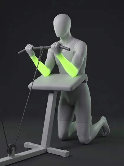 Cable Wrist Curl