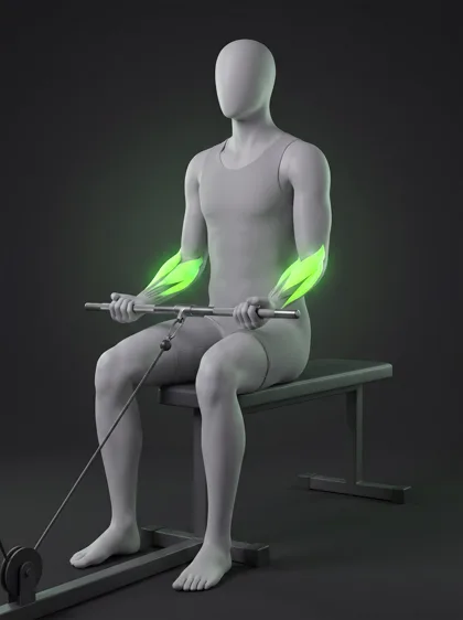 Cable Wrist Extension