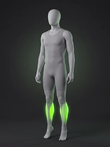Calf Raise
