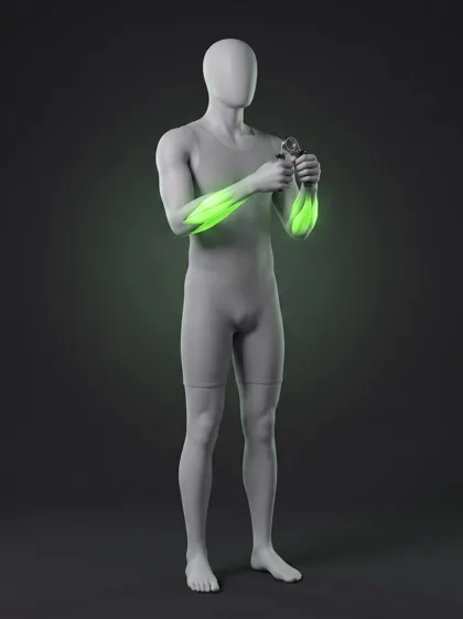 Hand Gripper Exercise