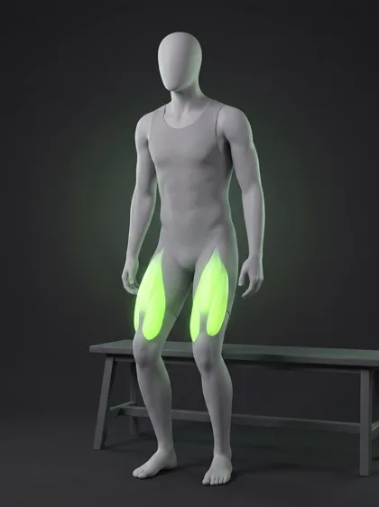 Chair Sit-to-Stand