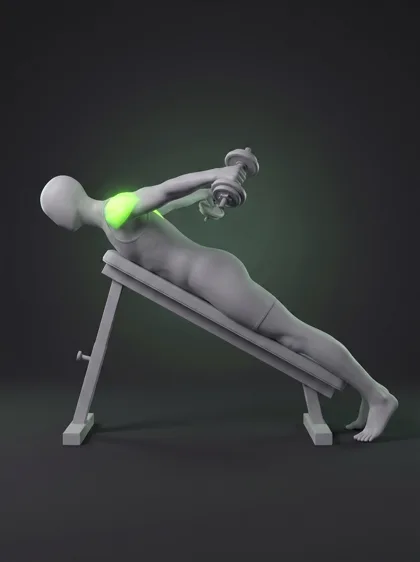 Chest-Supported Dumbbell Reverse Fly