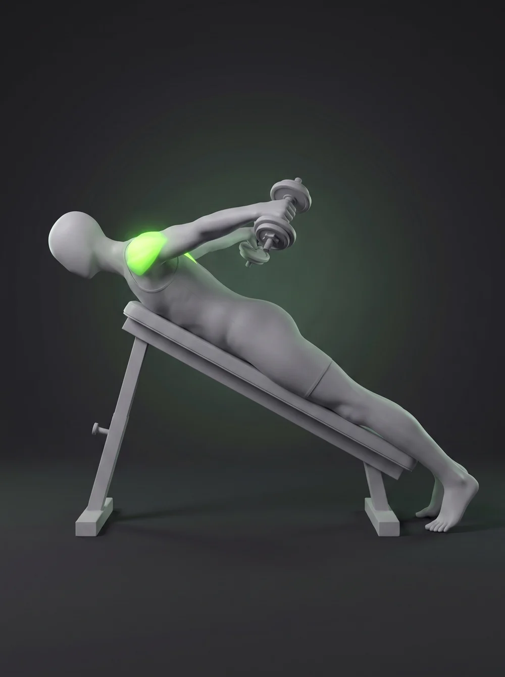 Chest-Supported Dumbbell Reverse Fly