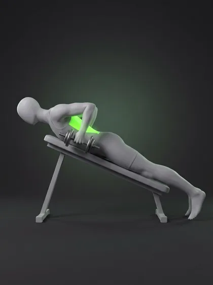 Chest-Supported Dumbbell Row