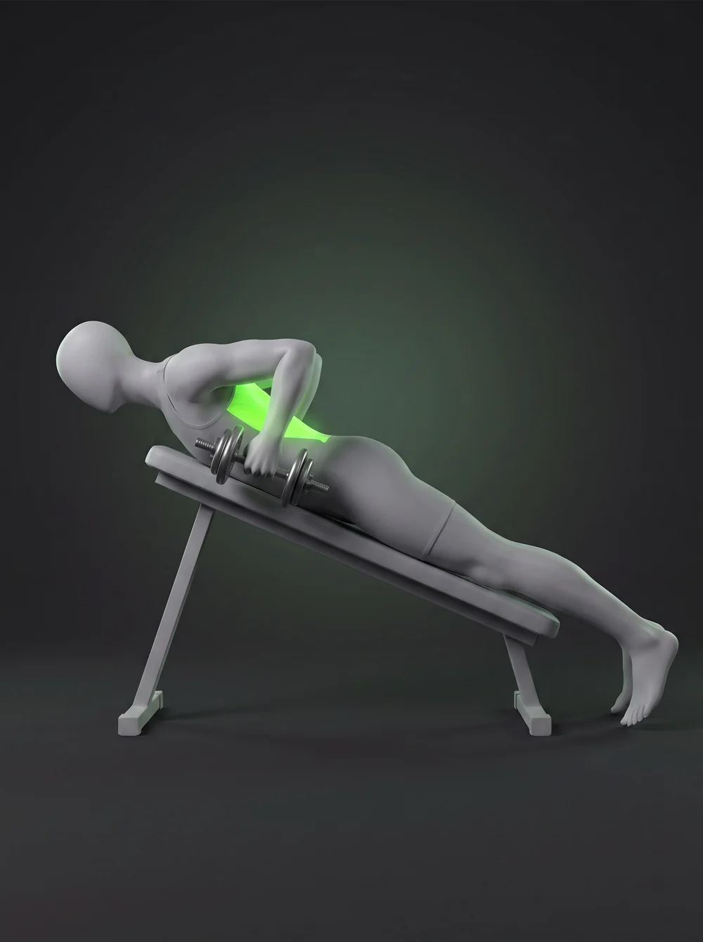 Chest-Supported Dumbbell Row