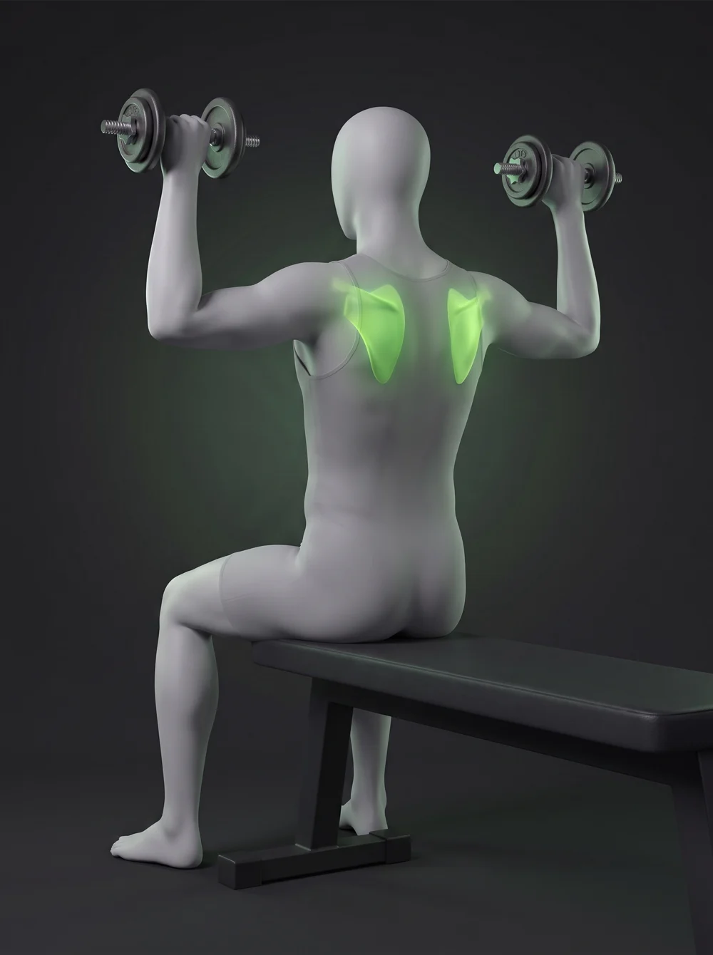 Seated Dumbbell Cuban Rotation