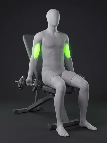 Bench-Supported Dumbbell Preacher Curl