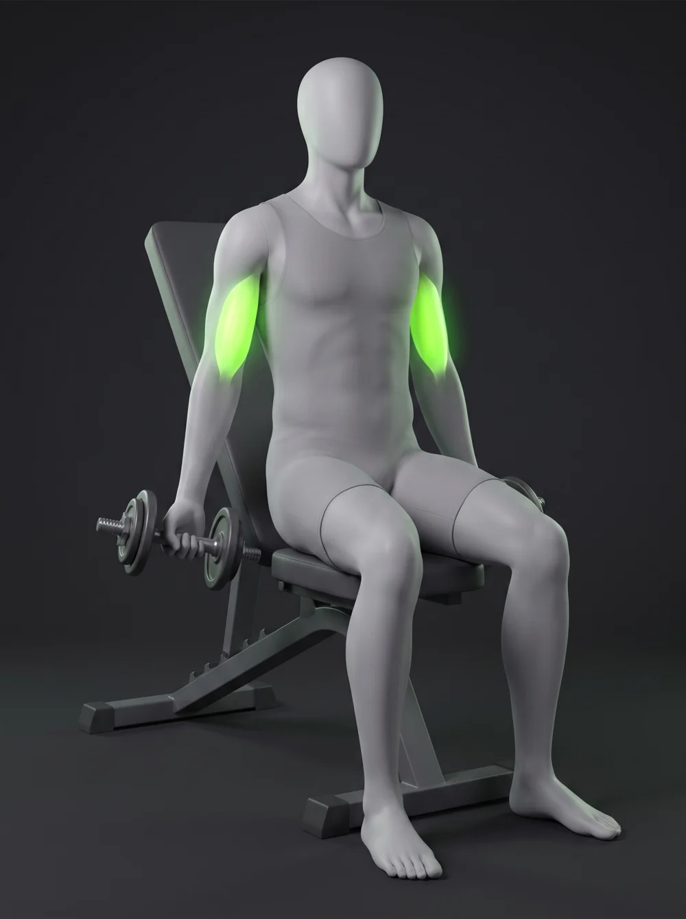 Bench-Supported Dumbbell Preacher Curl