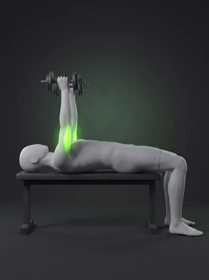 Lying Dumbbell Triceps Extension