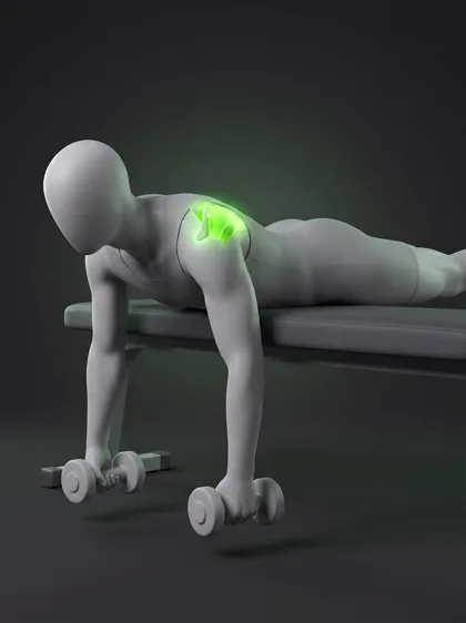 Prone Dumbbell W-Raise
