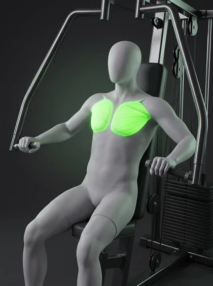 Seated Decline Machine Chest Press