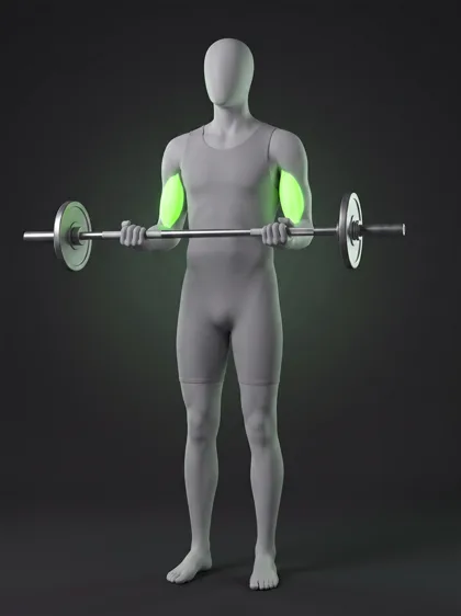 Barbell Drag Curl