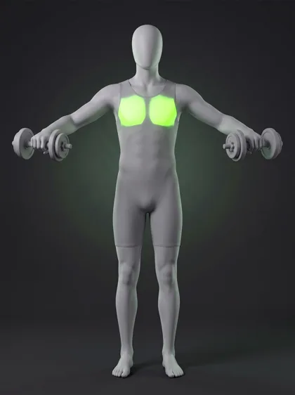 Dumbbell Chest Fly
