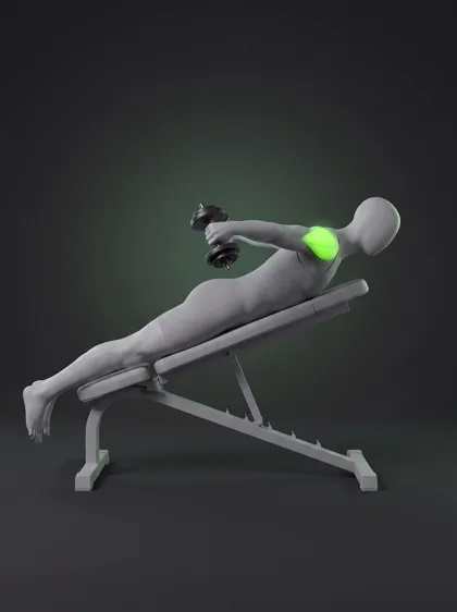 Chest-Supported Dumbbell T-Raise