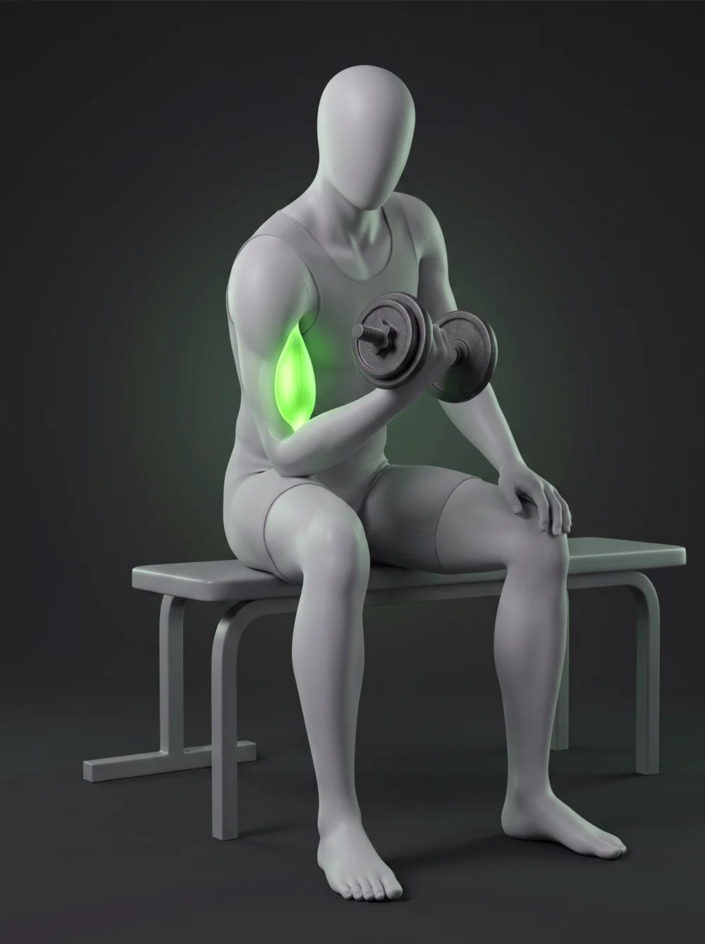 Dumbbell Concentration Curl