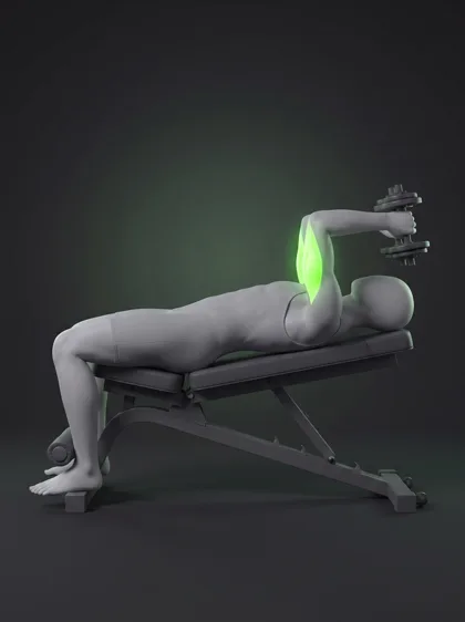 Decline Dumbbell Triceps Extension