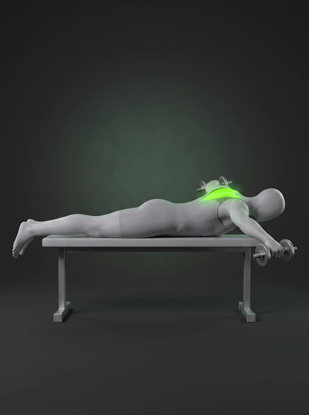 Prone Dumbbell T-Raise