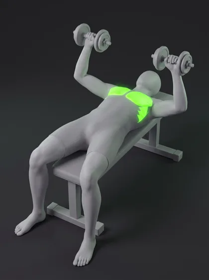 Dumbbell Bench Fly