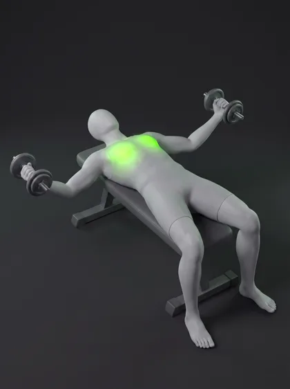 Flat Dumbbell Flye