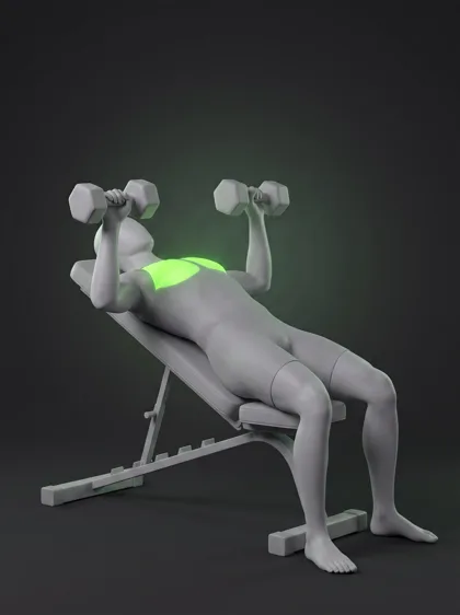 Incline Dumbbell Flye