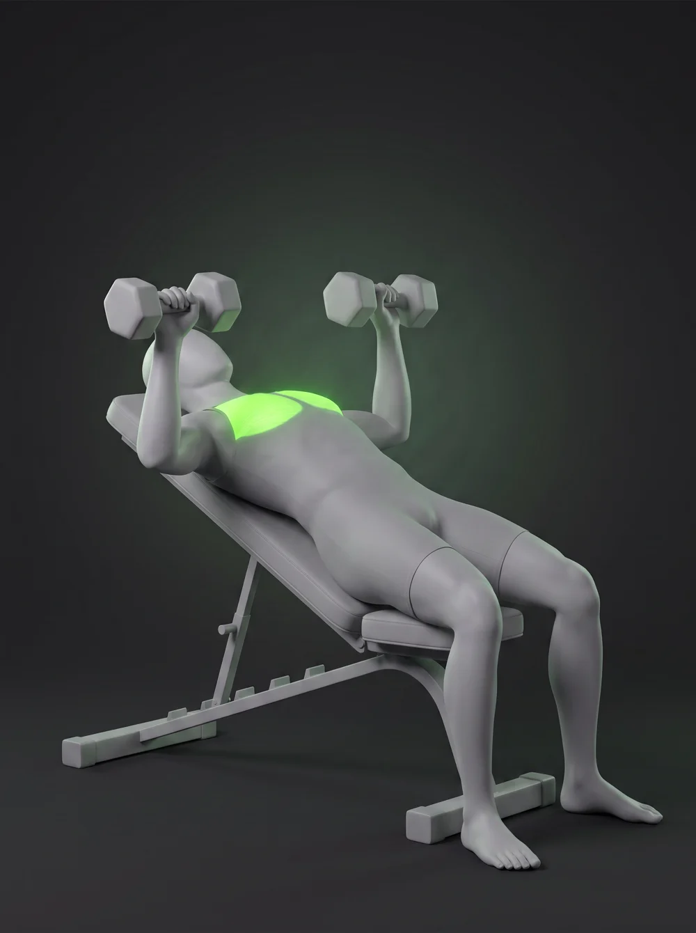 Incline Dumbbell Flye