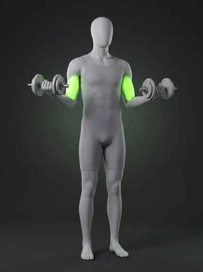 Dumbbell Hammer Curl