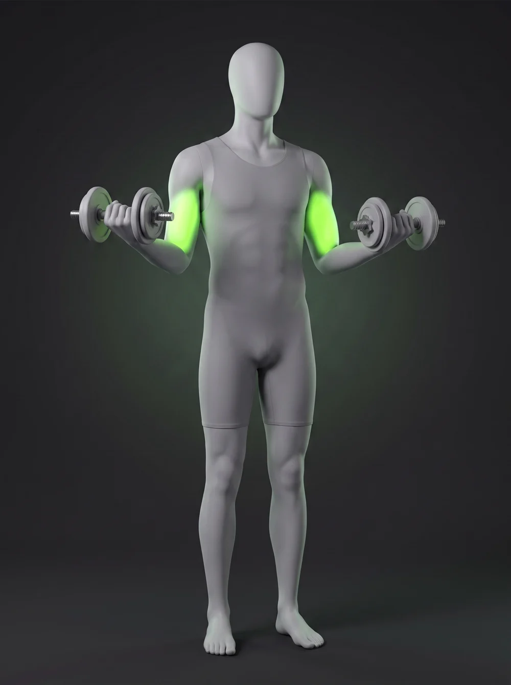 Dumbbell Hammer Curl
