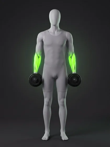 Dumbbell Grip Hold
