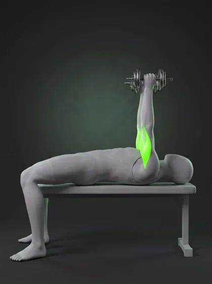 Incline Dumbbell Triceps Extension