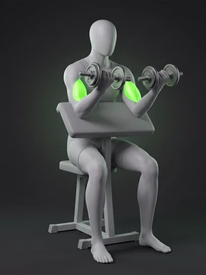 Dumbbell Preacher Curl
