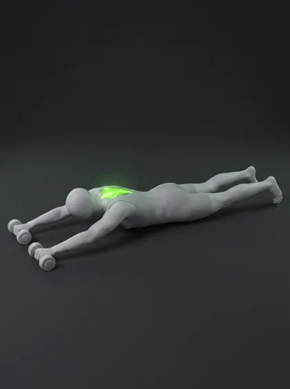 Prone Dumbbell Row