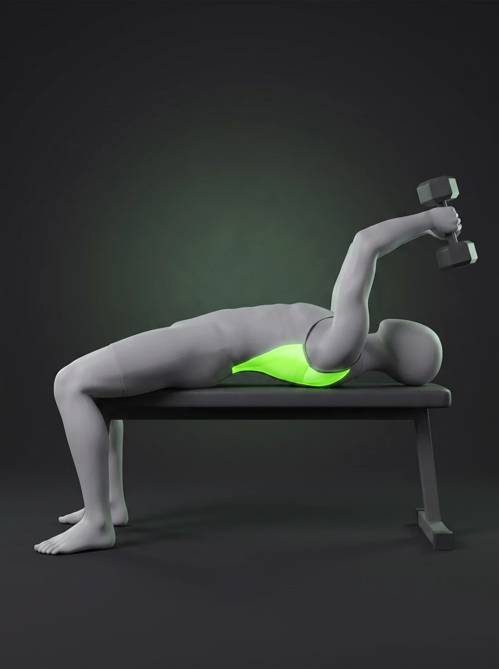 Dumbbell Pullover