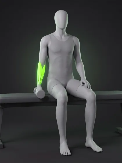 Dumbbell Reverse Wrist Curl