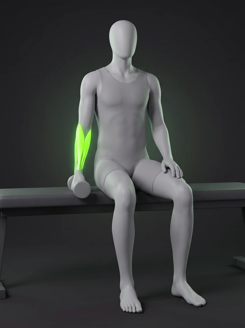 Dumbbell Reverse Wrist Curl