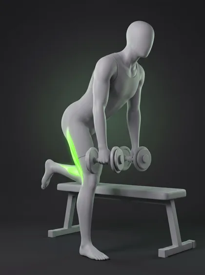 Bench-Supported Dumbbell Romanian Deadlift