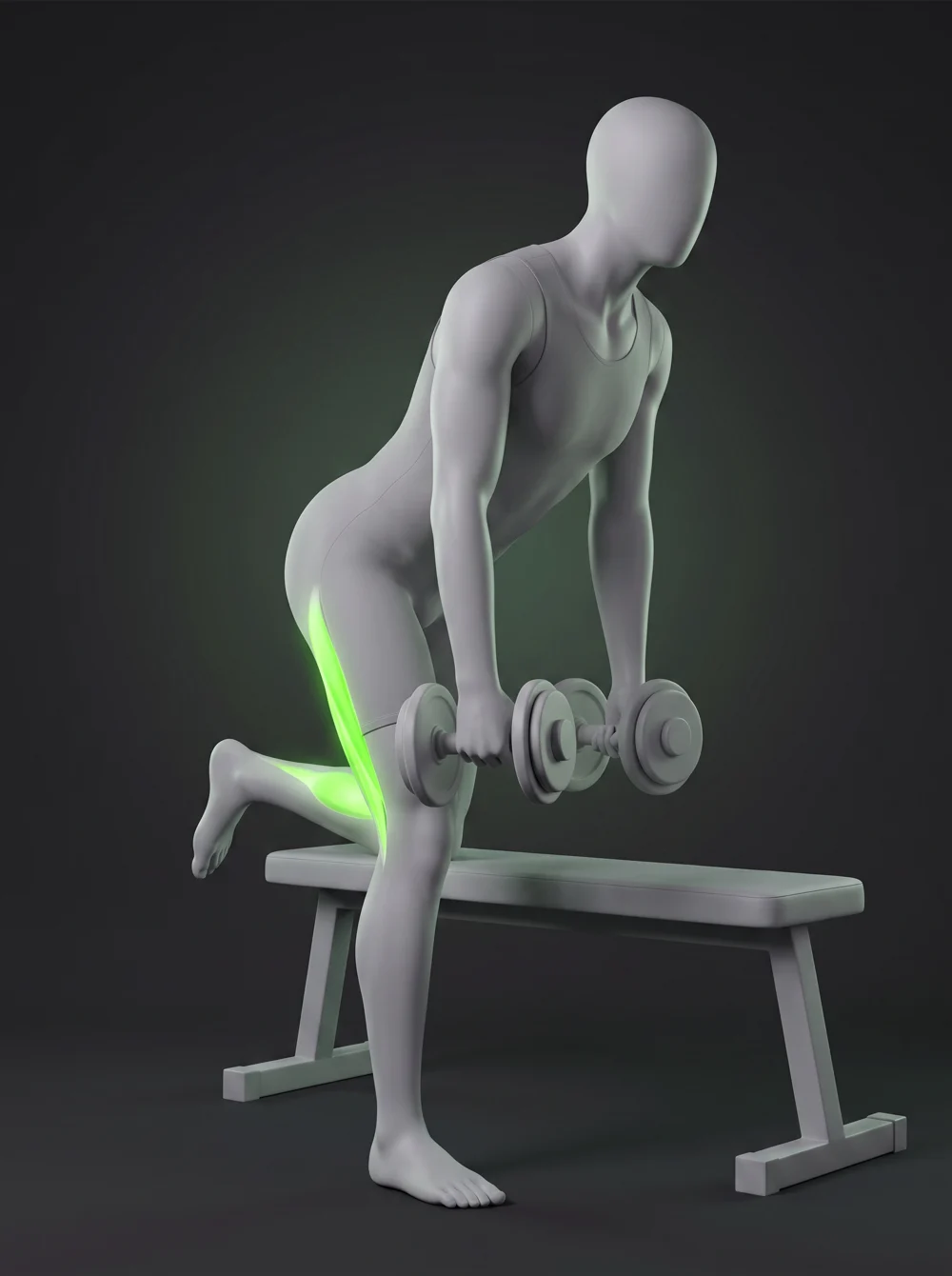 Bench-Supported Dumbbell Romanian Deadlift
