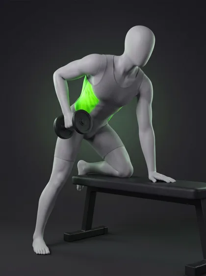Supported Dumbbell Row
