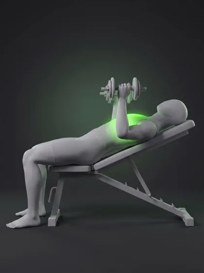 Decline Dumbbell Fly