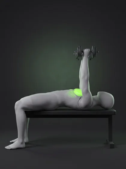 Dumbbell Fly