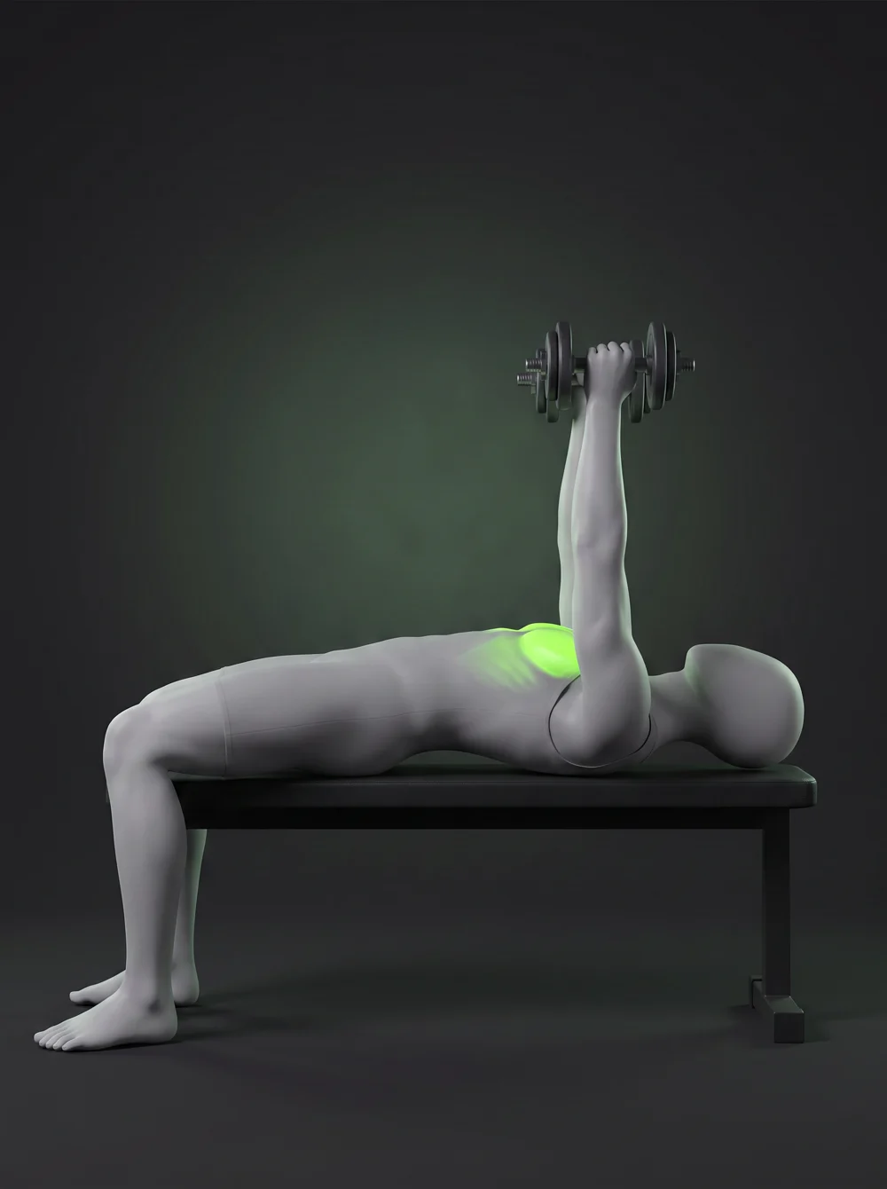 Dumbbell Fly