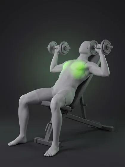 Incline Dumbbell Fly
