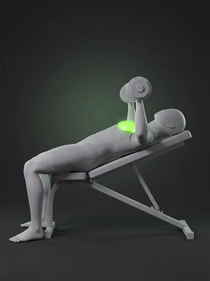 Incline Dumbbell Press