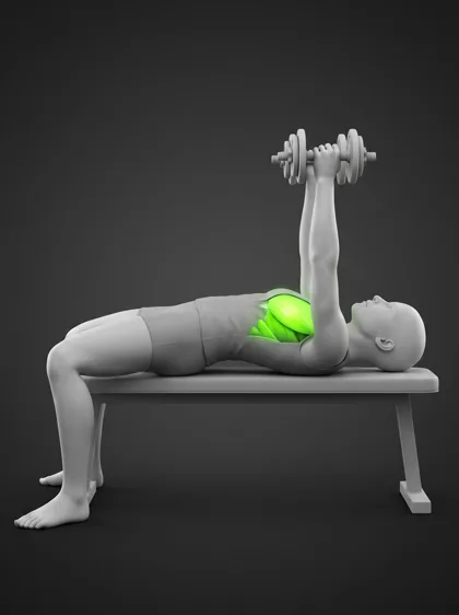 Dumbbell Squeeze Press