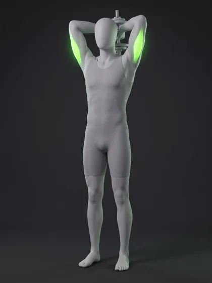 Standing Overhead Dumbbell Triceps Extension